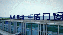 良多人会对某些品